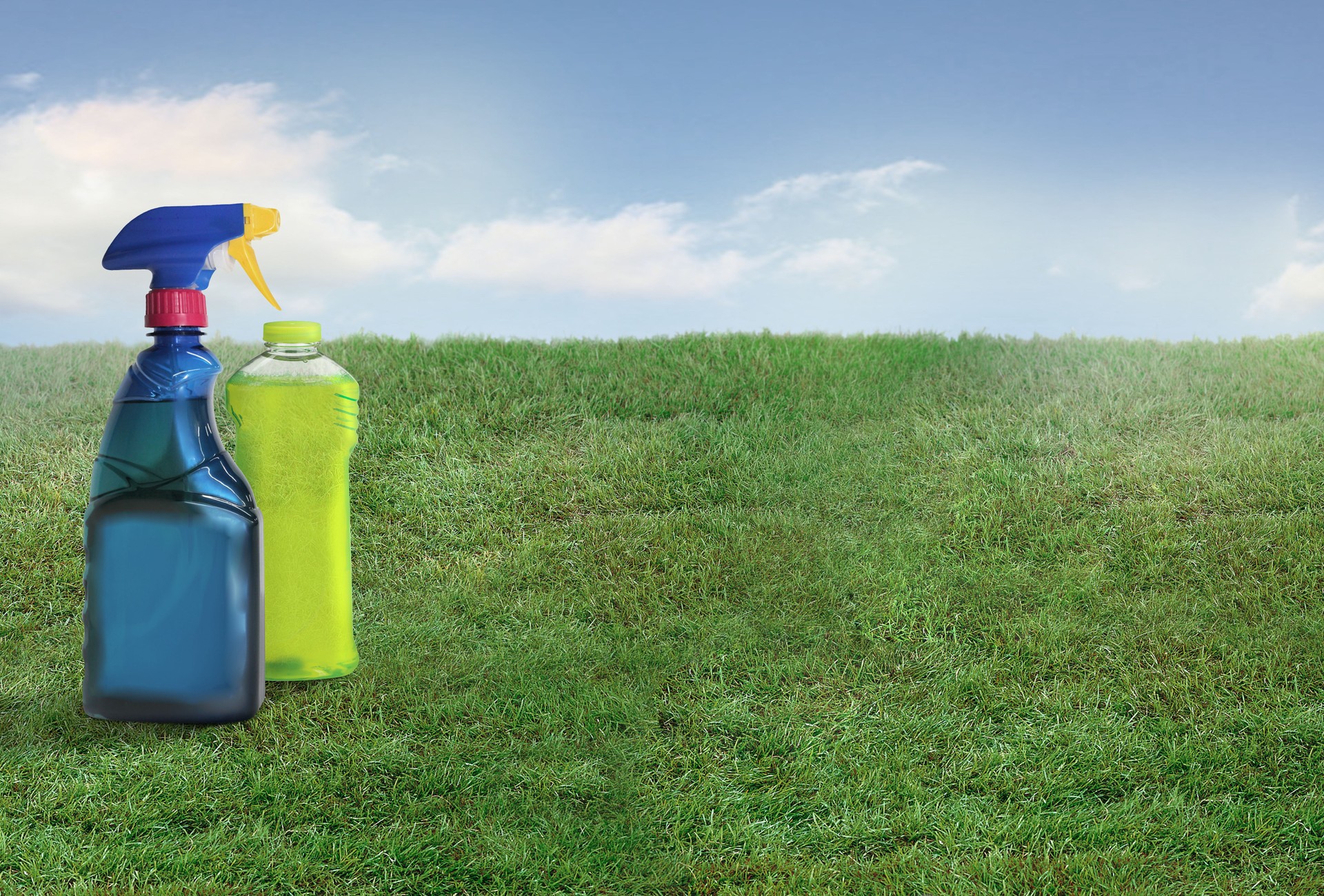 Cleaning products in a spray bottle and a plastic bottle on a grass lawn